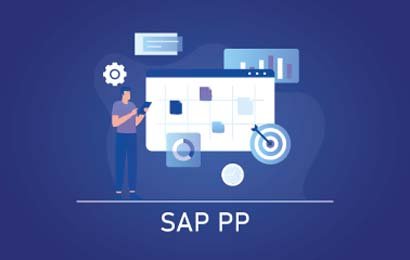ERP-SAP-PP Training Noida